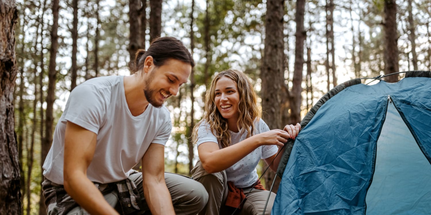Hantavirus Symptome und Schutz vor Infektionen ADAC
